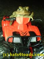 /home//u458753944/public_html/sourcegallery//Roxborough Toad Detour/2013-2019/2017/P3250662.JPG